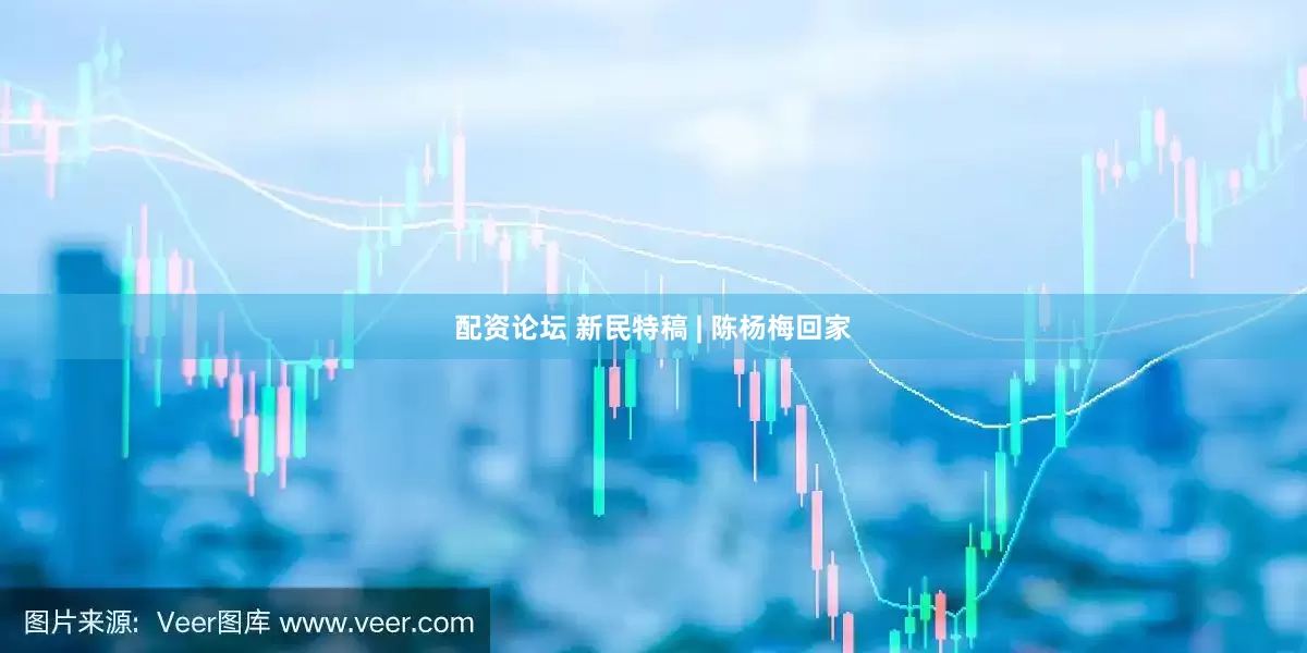 配资论坛 新民特稿 | 陈杨梅回家